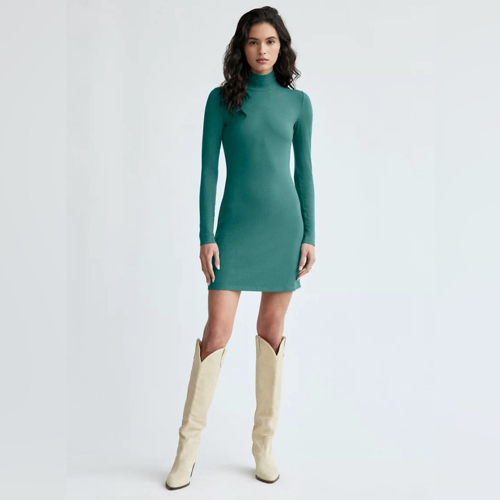 NWT - Aritzia - Wilfred Janice Dress